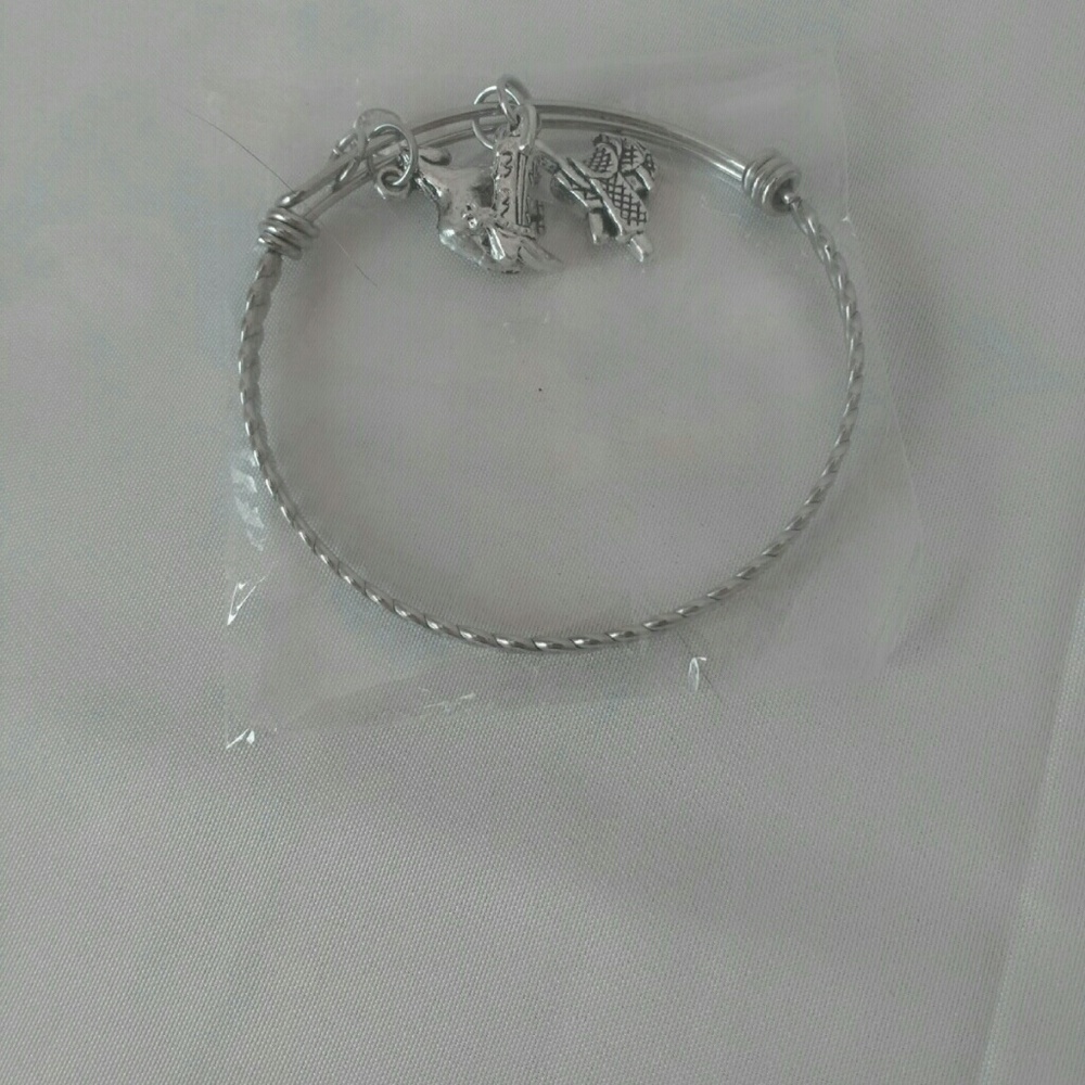 Stainless Steel Birthstone Western Bracelet
